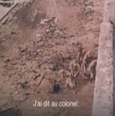 Impossible de lire la video