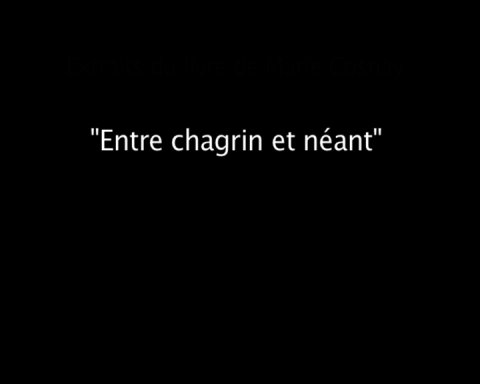 Impossible de lire la video